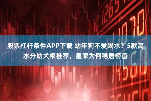股票杠杆条件APP下载 幼年狗不爱喝水？5款高水分幼犬粮推荐，皇家为何稳居榜首